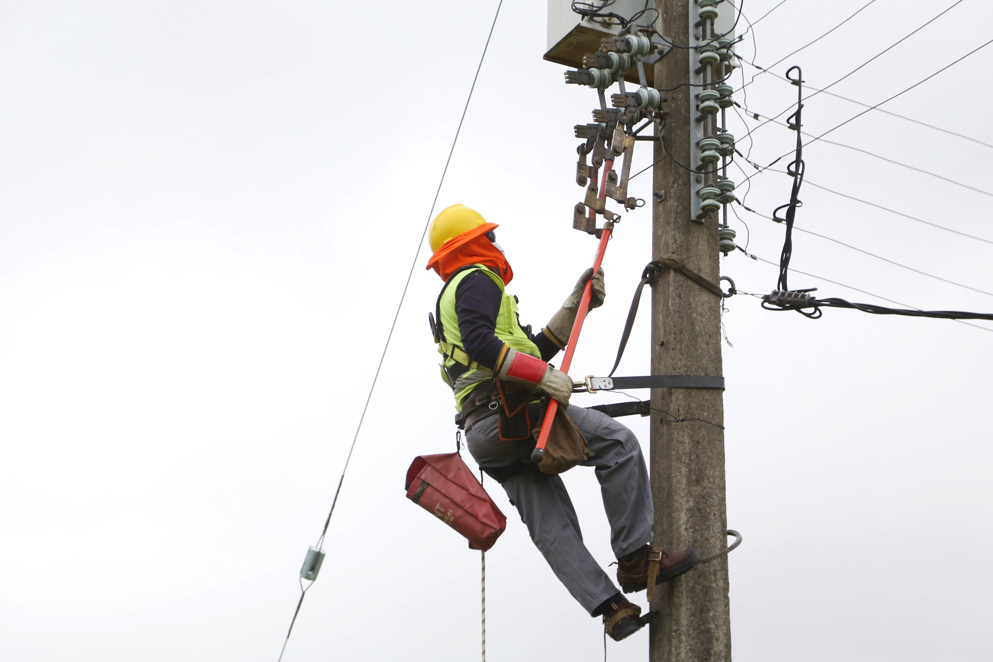 Grupo Saesa implementó inteligencia artificial y brigadistas para mantención anual de su red eléctrica