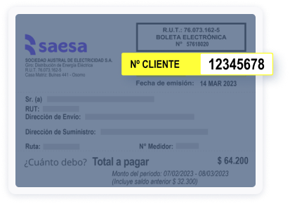 Boleta