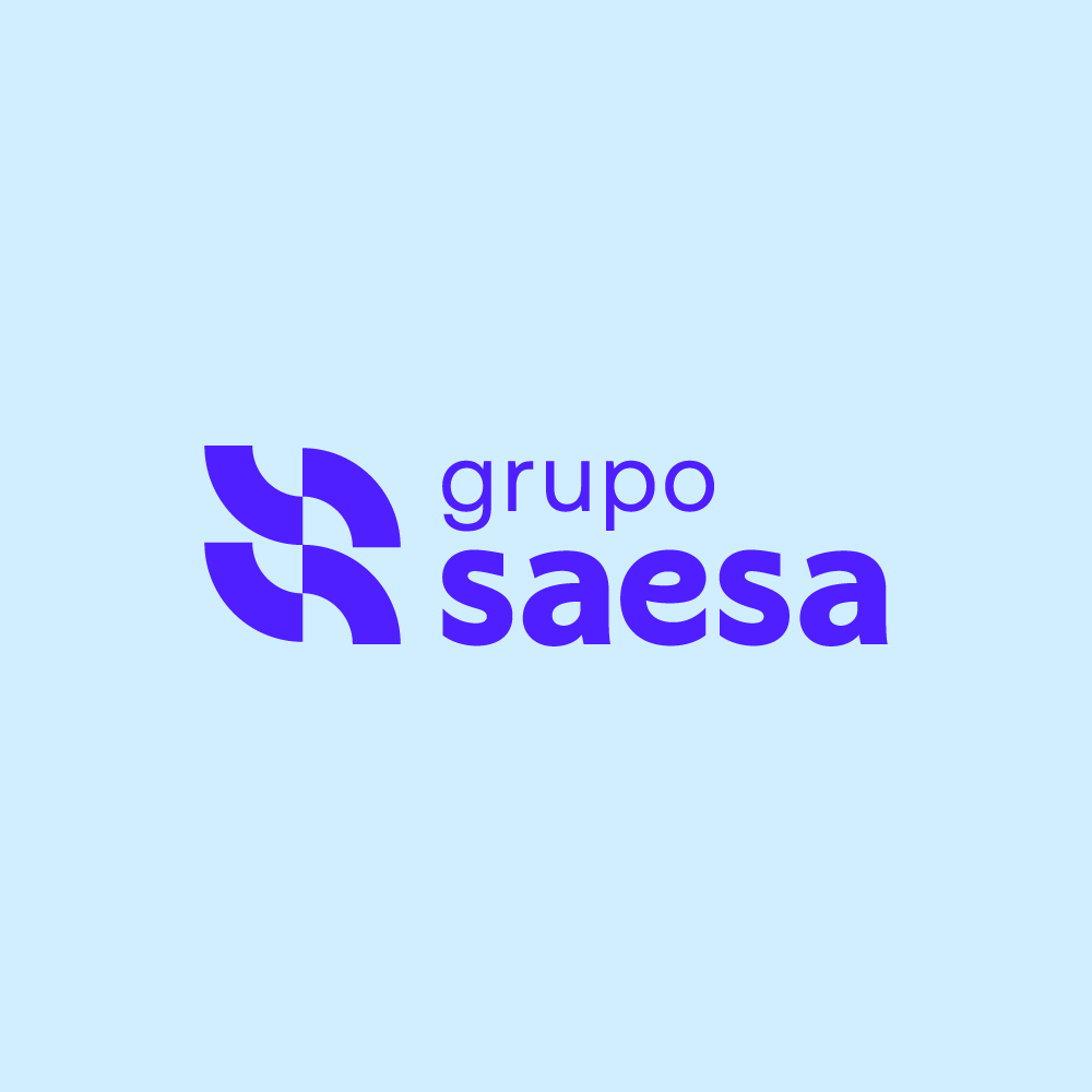 directores en Grupo Saesa