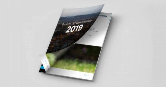Reporte de Sustentabilidad 2020