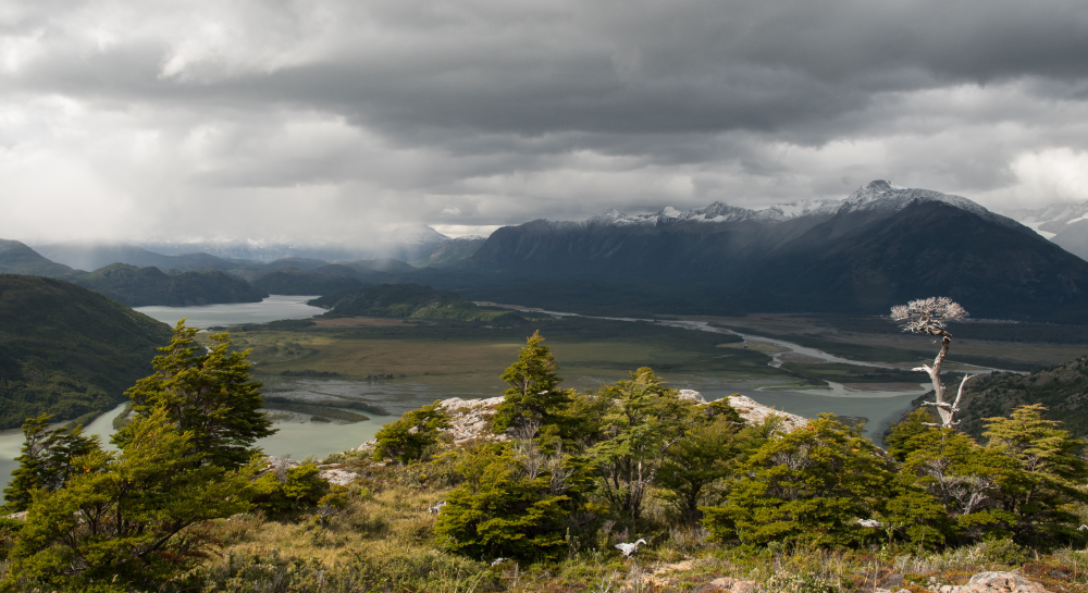 Banner Hero - Edelaysen