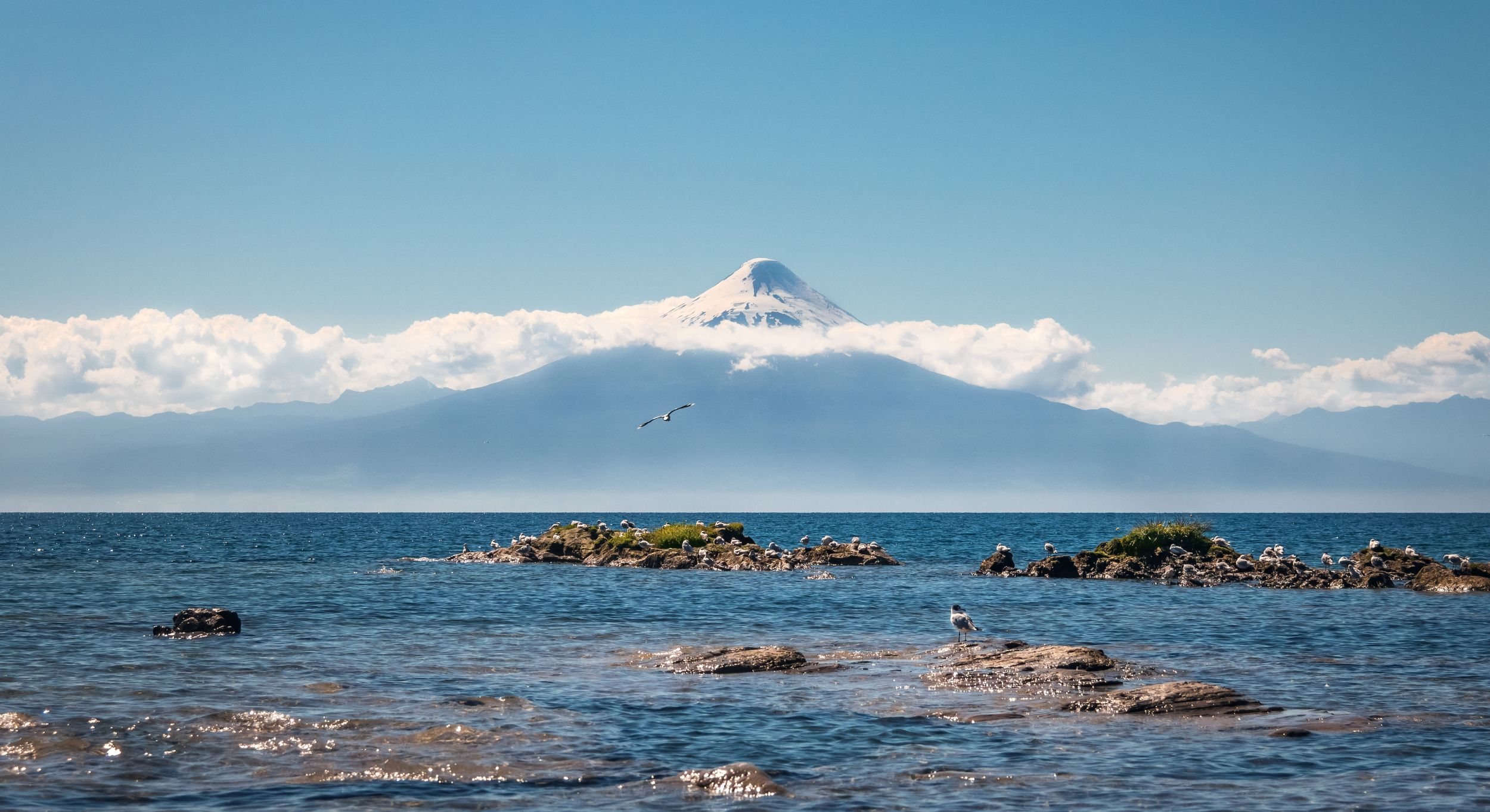 Banner Hero - Luz Osorno