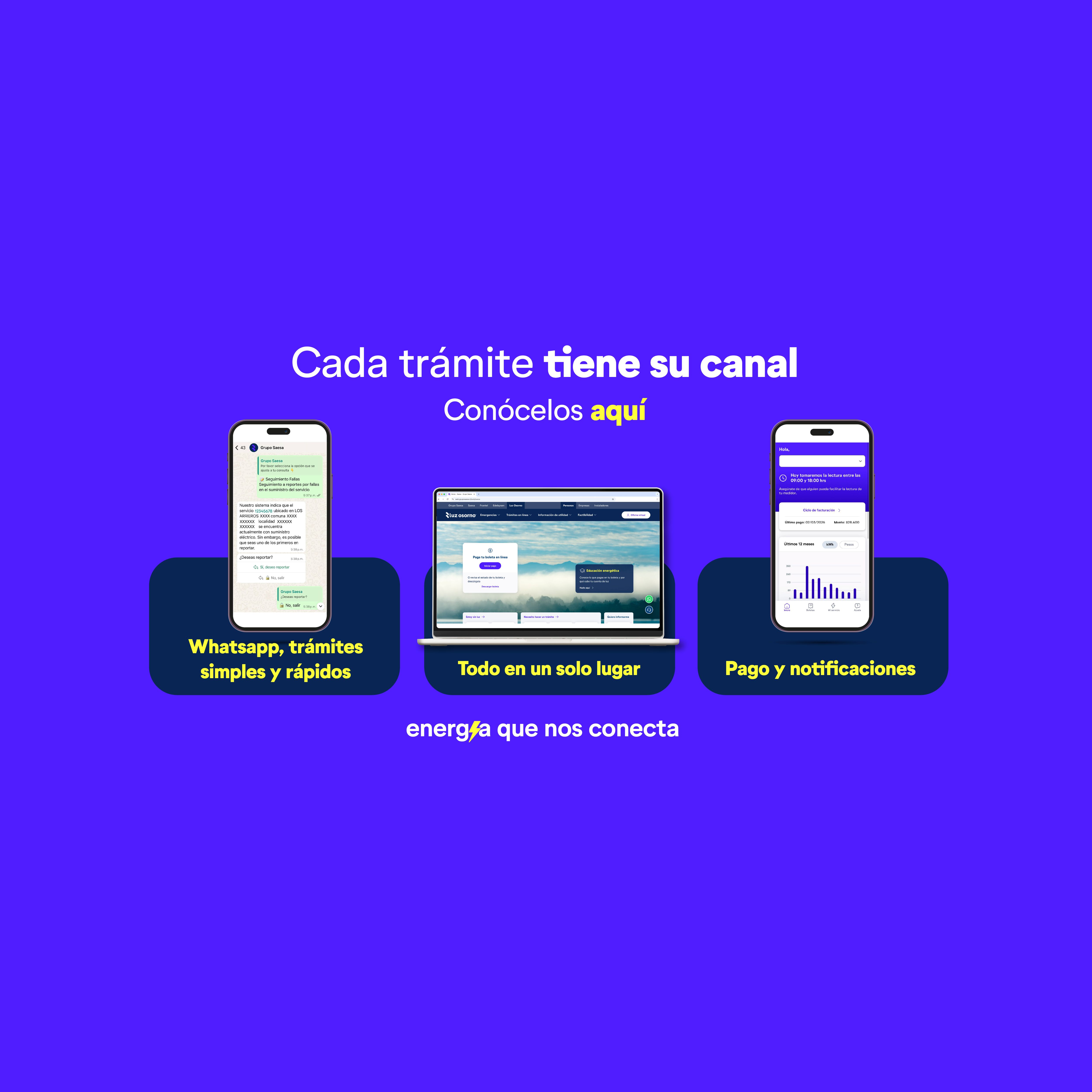 Luz Osorno impulsa una nueva forma de usar la energía a través de sus plataformas digitales