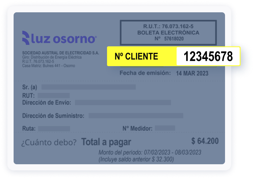 Boleta
