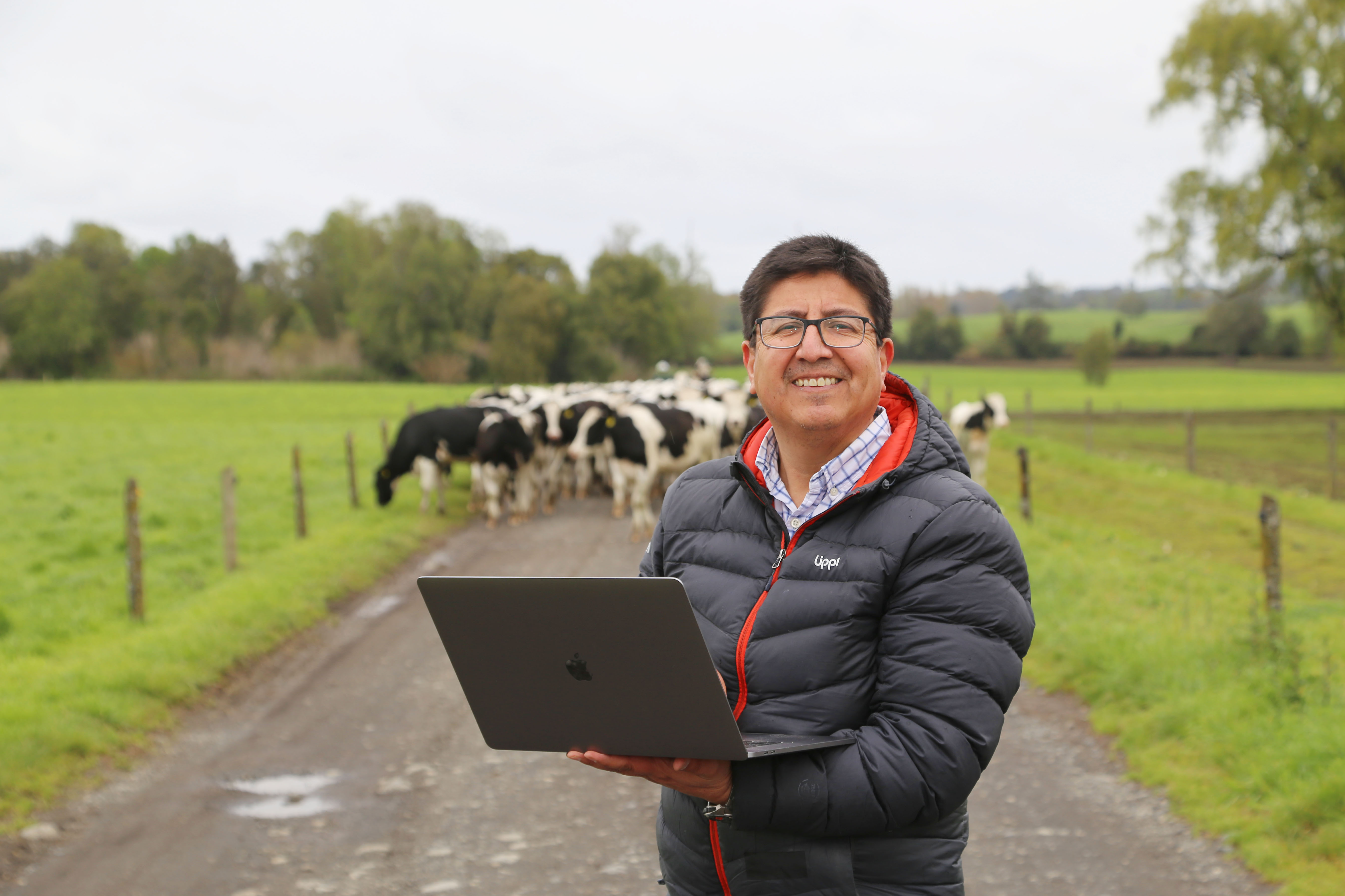 Noticia Saesa - Saesa premiará con dos meses de luz gratis a sus clientes