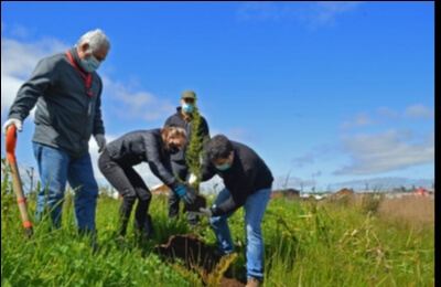 restauración de humedales de Llanquihue
