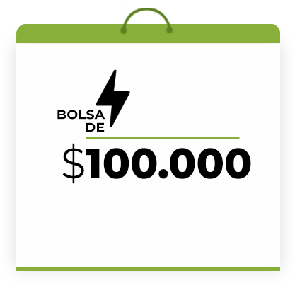bolsa-100