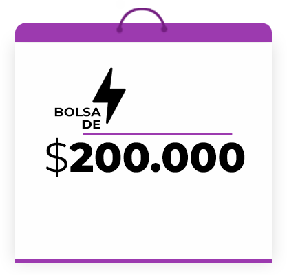 bolsa-100