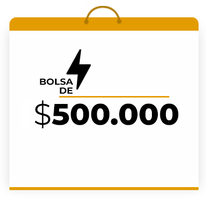 bolsa-100